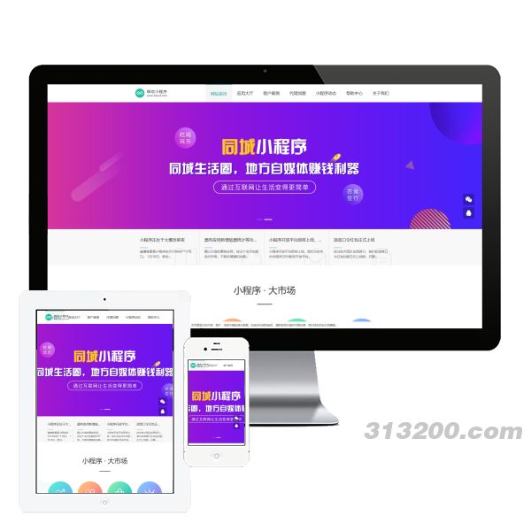 微信小程序开发代理展示销售网站 软件开发公司网站