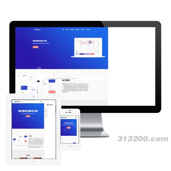 SEO优化网络公司网站