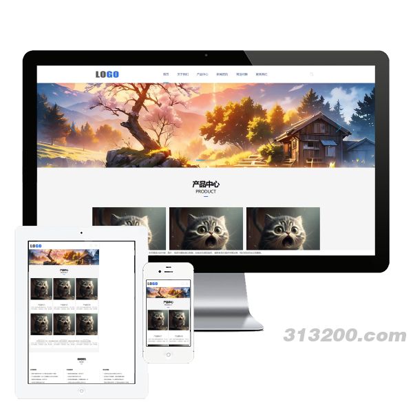 企业通用型网站 产品展示类网站