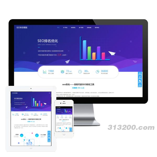 seo快排网站 大气的IT网络软件公司网站